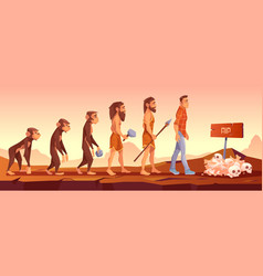 Extinction Human Species Evolution Time Line