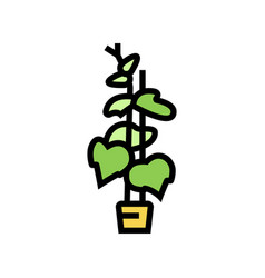 Plant Cucumber Color Icon