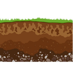 Soil Layers Surface Horizons Upper Layer Of Earth