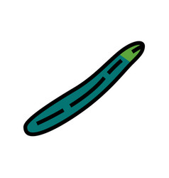 English Cucumber Color Icon