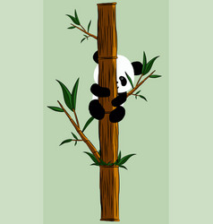 Panda Bear Cub Climbs Bamboo Trunk With Bamboo