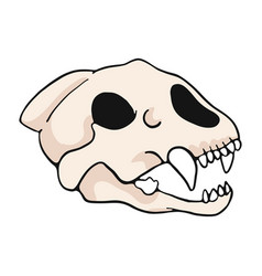 Tiger Skull Cartoon Motif Set