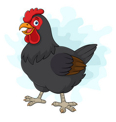 Cartoon Black Hen Isolated On White Background