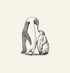 King Or Emperor Penguin Chick Adult