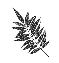 Rhus Typhina Leaf Icon