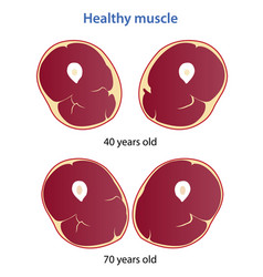 Healthy Muscle Mass And Strength