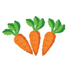 Three Carrots On A White Background