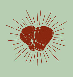 Boxing Gloves In Vintage Style