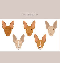 Cirneco Dell Etna Sicilian Hound Clipart