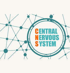 Cns Abbreviation Mean Central Nervous System