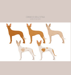 Cirneco Dell Etna Sicilian Hound Clipart