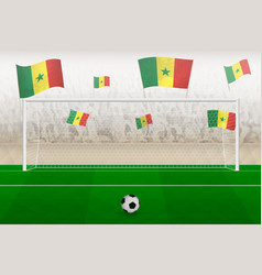 Senegal Football Team Fans With Flags Of