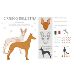 Cirneco Dell Etna Sicilian Hound Clipart