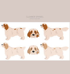 Cirneco Dell Etna Sicilian Hound Clipart