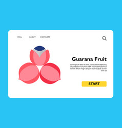 Guarana Fruit Icon