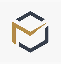 Letter M Hexagon Logo