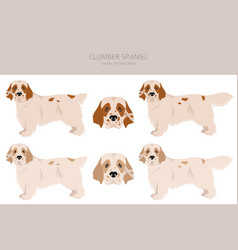 Cirneco Dell Etna Sicilian Hound Clipart