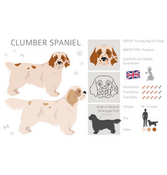 Cirneco Dell Etna Sicilian Hound Clipart