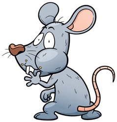 Rat Royalty Free Vector Image - VectorStock