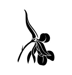 Larkspur Flower Black Silhouette Art Icon