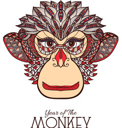 Monkey Color Face