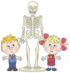 Anatomy Lesson With A Skeleton At School