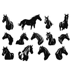 Horse Silhouettes On White Background Horses