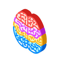 Brain Mapping Neuroscience Neurology Isometric