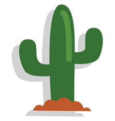 Desert Cactus On A White Background