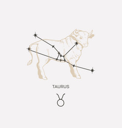 Taurus Constellation