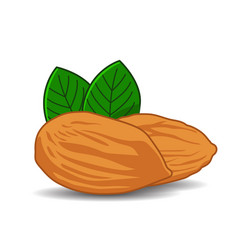 Almond Nut Healthy Food Design