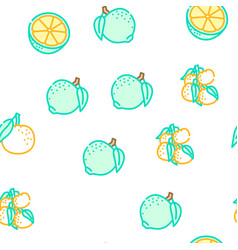 Mandarin Citrus Fruit Seamless Pattern