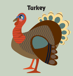 Cartoon Turkey