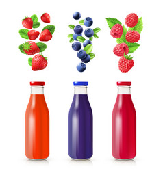 Berry Juice Realistic Set