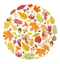 Autumn Leaves And Symbols In Circle Pattern