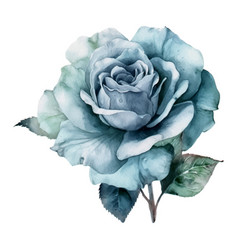 Blue Pastel Rose Flower Watercolor