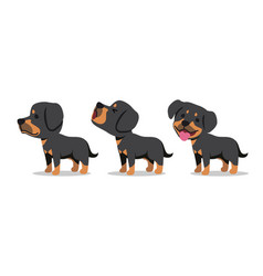 Set Of Cartoon Character Rottweiler Dog