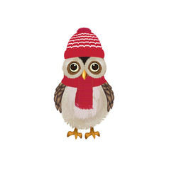 Cute Owl With Pink Scarf And Cap