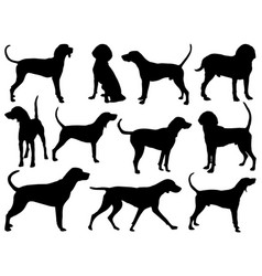 Treeing Walker Coonhound Dog Silhouette