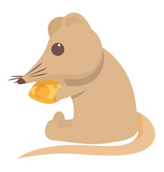 Shrew Eat Cheese Icon Cartoon Domestic