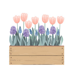 Wooden Vintage Box With Spring Flowers Tulips