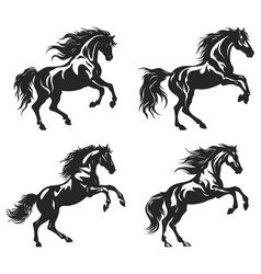 Rearing Horse Monochrome Silhouettes Wild