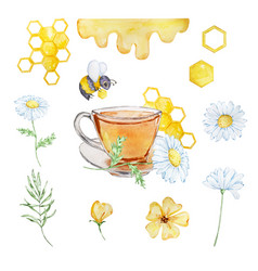 Watercolor Honey Set Cup Bee And Chamomile