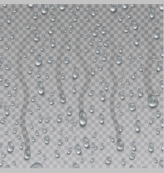 Water drops background Royalty Free Vector Image