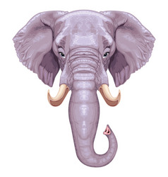 Elephant Head