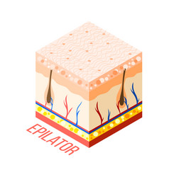 Epilator Skin Diagram Composition