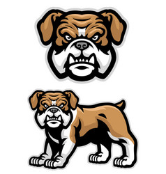 Set English Bulldog Mascot