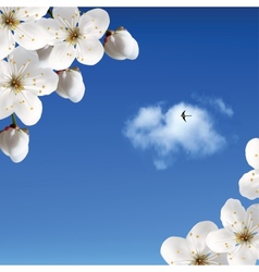 Cherry Blossoms Against The Sky And Clouds