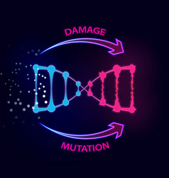 External Factors That Cause Dna Damage