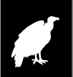 Vulture Silhouette Isolated